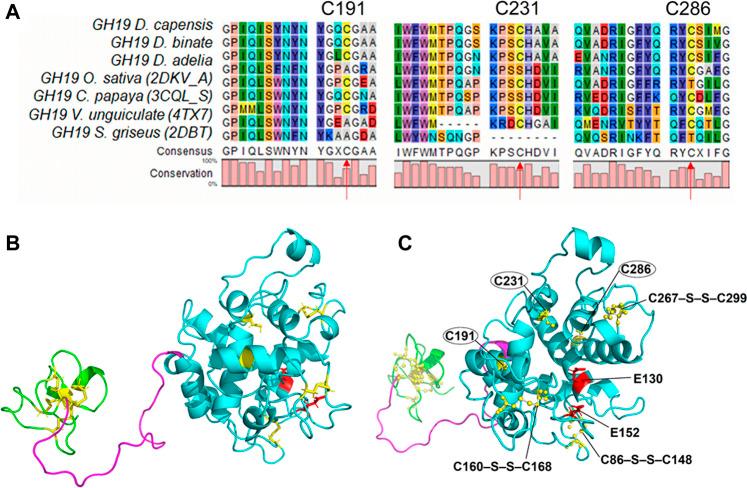 https://cdn.ncbi.nlm.nih.gov/pmc/blobs/49e1/8490864/07ddcbabe9ec/fbioe-09-728501-g005.jpg