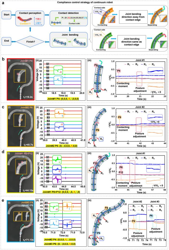 https://cdn.ncbi.nlm.nih.gov/pmc/blobs/49e4/12369696/451b158de1bd/ADMA-37-2502203-g002.jpg