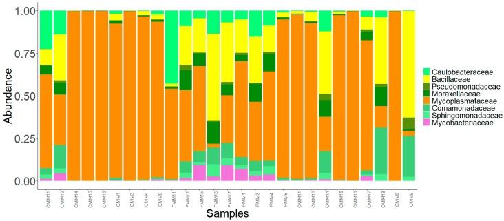 https://cdn.ncbi.nlm.nih.gov/pmc/blobs/49e4/6723382/4b94b8e37c69/microorganisms-07-00233-g006.jpg