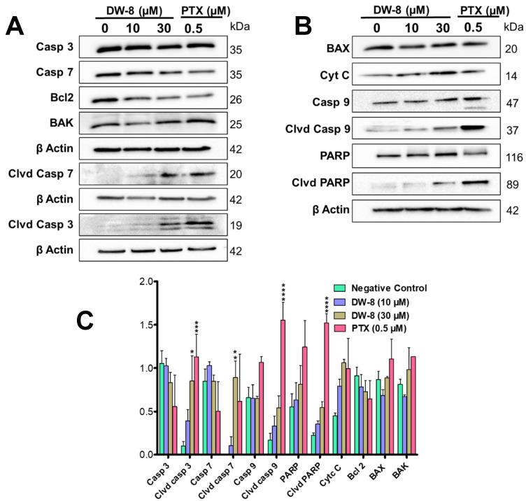 https://cdn.ncbi.nlm.nih.gov/pmc/blobs/49e4/8347809/d89033c08385/molecules-26-04417-g003.jpg