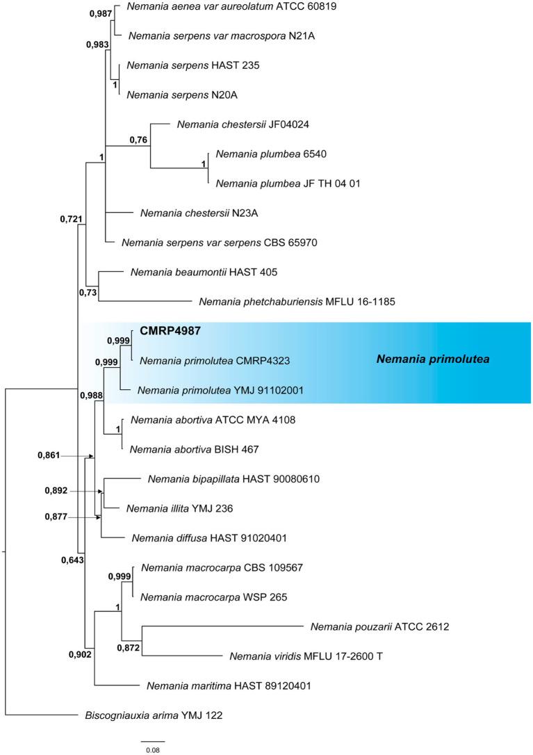 https://cdn.ncbi.nlm.nih.gov/pmc/blobs/49e5/11703833/748bfc035e9f/fmicb-15-1501182-g003.jpg
