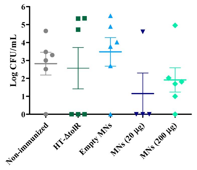https://cdn.ncbi.nlm.nih.gov/pmc/blobs/49e5/6963400/c0340febee0c/vaccines-07-00159-g008.jpg