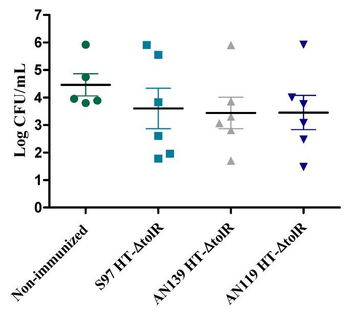 https://cdn.ncbi.nlm.nih.gov/pmc/blobs/49e5/6963400/ce32bb26dd0d/vaccines-07-00159-g006.jpg