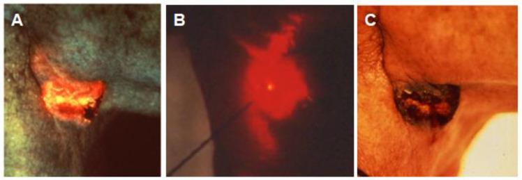 https://cdn.ncbi.nlm.nih.gov/pmc/blobs/49e6/10535405/ffe89d3ea28c/pathogens-12-01160-g009.jpg