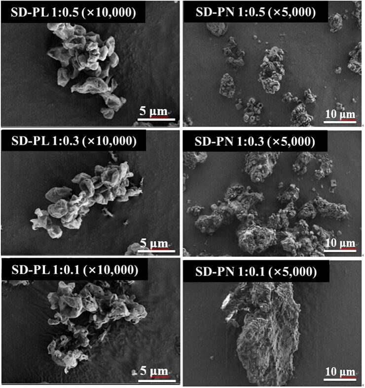 https://cdn.ncbi.nlm.nih.gov/pmc/blobs/49e6/9704105/910295f8ad24/IDRD_A_2149899_F0002_C.jpg