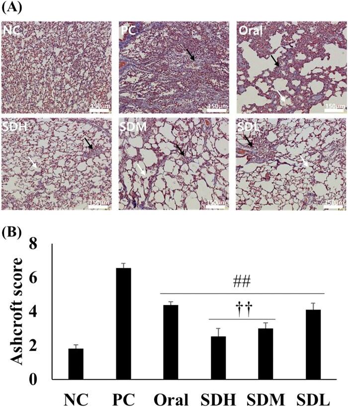 https://cdn.ncbi.nlm.nih.gov/pmc/blobs/49e6/9704105/96e659d83a32/IDRD_A_2149899_F0008_C.jpg