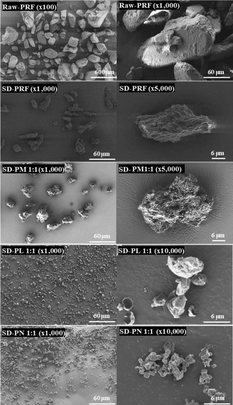https://cdn.ncbi.nlm.nih.gov/pmc/blobs/49e6/9704105/a364ea7af774/IDRD_A_2149899_F0001_B.jpg