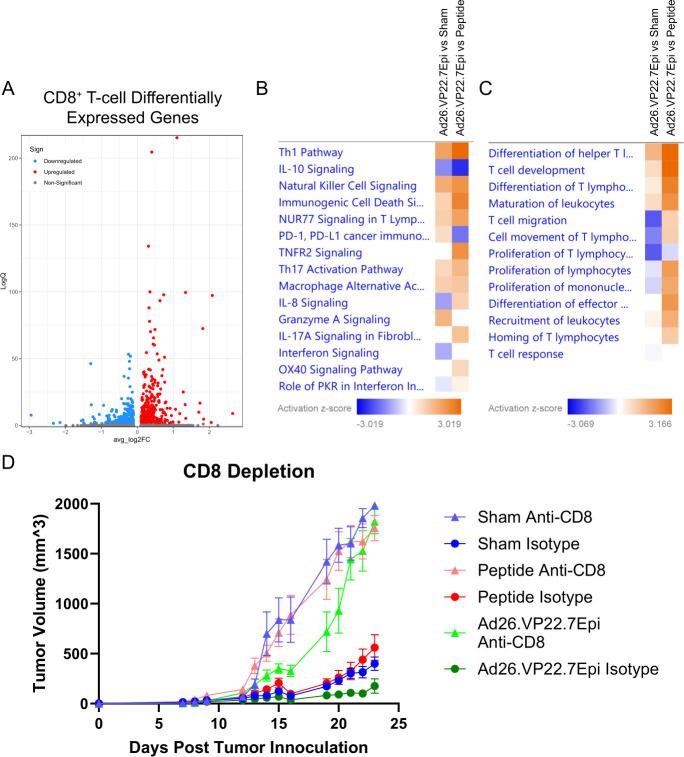 https://cdn.ncbi.nlm.nih.gov/pmc/blobs/49e7/11660326/12837cd9d7a3/jitc-12-12-g006.jpg