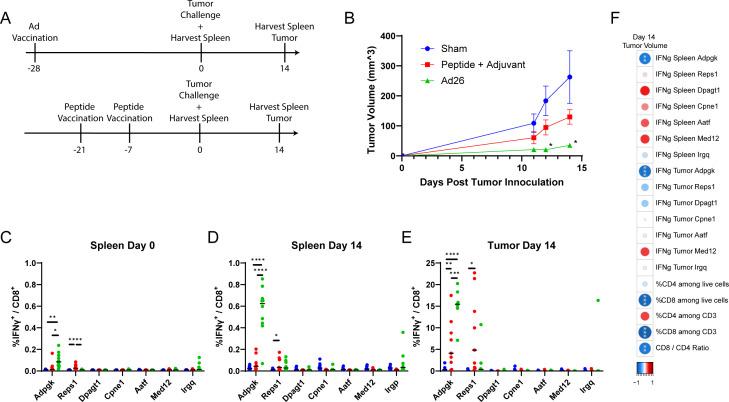 https://cdn.ncbi.nlm.nih.gov/pmc/blobs/49e7/11660326/29abb22e811c/jitc-12-12-g004.jpg
