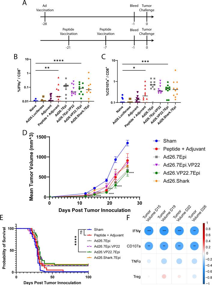 https://cdn.ncbi.nlm.nih.gov/pmc/blobs/49e7/11660326/a96f98080dc9/jitc-12-12-g003.jpg