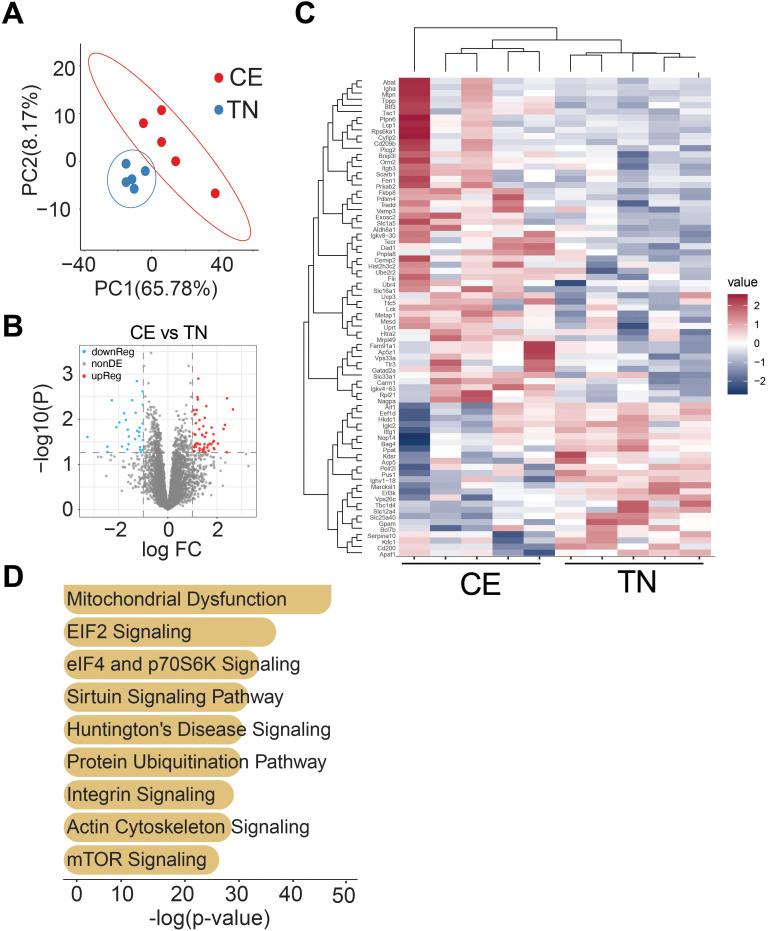 https://cdn.ncbi.nlm.nih.gov/pmc/blobs/49e8/12234322/f8929be2db26/fendo-16-1617262-g007.jpg