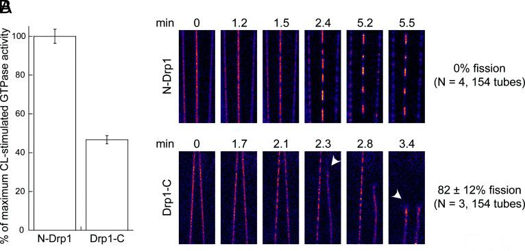 https://cdn.ncbi.nlm.nih.gov/pmc/blobs/49e8/9271196/7ebe2b25f6b1/pnas.2202391119fig01.jpg