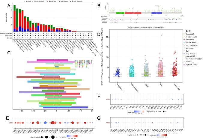 https://cdn.ncbi.nlm.nih.gov/pmc/blobs/49e9/11300667/58de402f38a1/432_2024_5870_Fig4_HTML.jpg