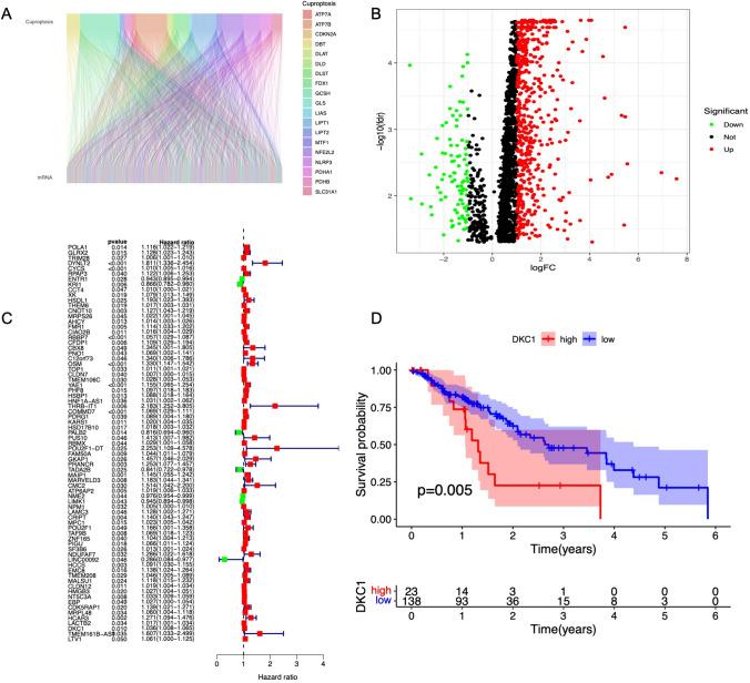 https://cdn.ncbi.nlm.nih.gov/pmc/blobs/49e9/11300667/6ef558b28480/432_2024_5870_Fig1_HTML.jpg