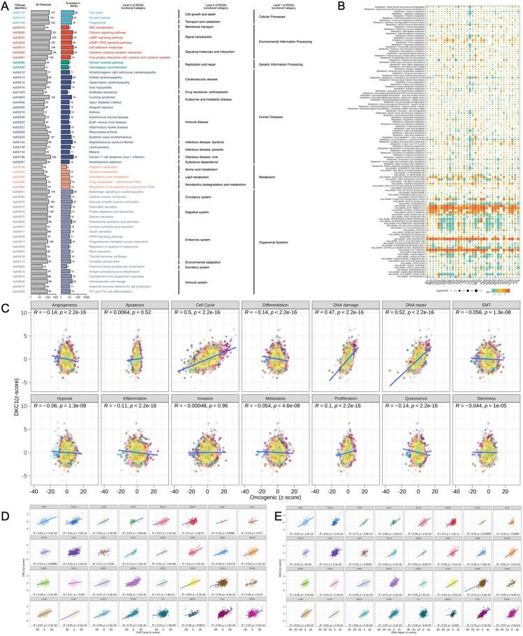 https://cdn.ncbi.nlm.nih.gov/pmc/blobs/49e9/11300667/a9d60ddd2b73/432_2024_5870_Fig5_HTML.jpg