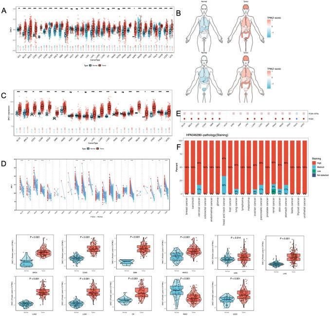 https://cdn.ncbi.nlm.nih.gov/pmc/blobs/49e9/11300667/e9b21abb4ab2/432_2024_5870_Fig2_HTML.jpg