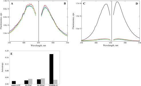https://cdn.ncbi.nlm.nih.gov/pmc/blobs/49e9/3122231/e1ba7d9ea61d/zbc0291166270003.jpg
