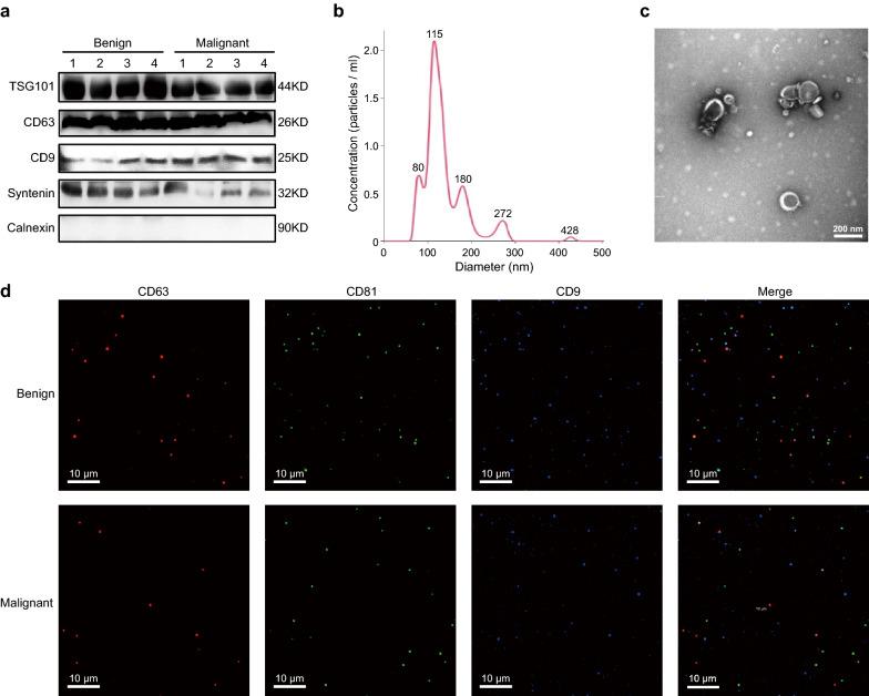 https://cdn.ncbi.nlm.nih.gov/pmc/blobs/49e9/8976298/910ef57e6ba9/12951_2022_1366_Fig2_HTML.jpg