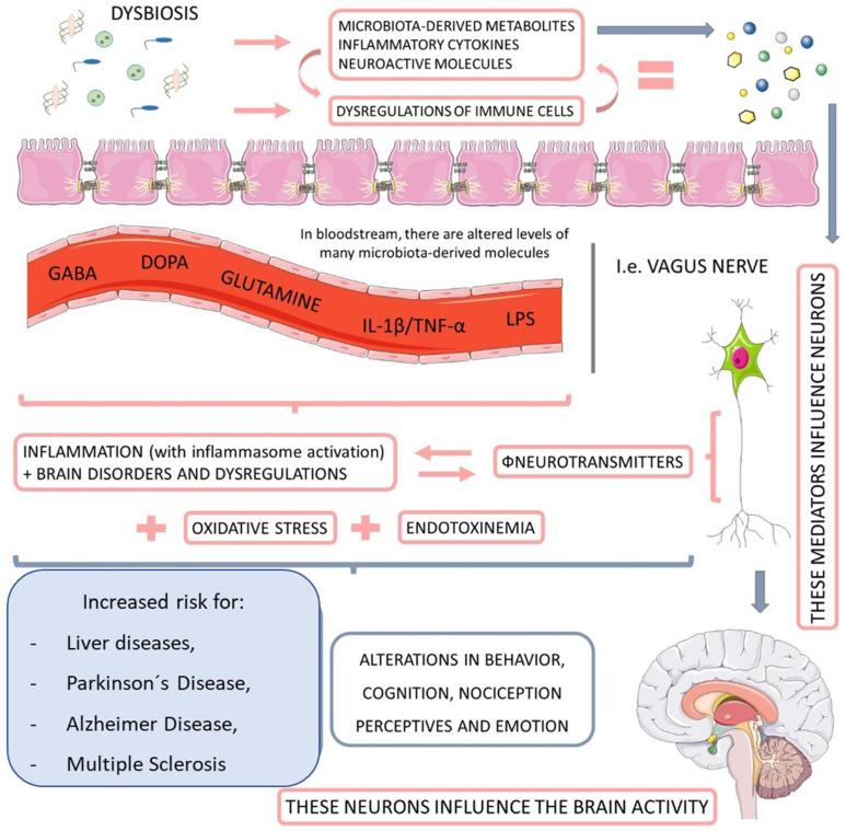 https://cdn.ncbi.nlm.nih.gov/pmc/blobs/49ea/9369010/87a37585a424/ijms-23-08805-g002.jpg