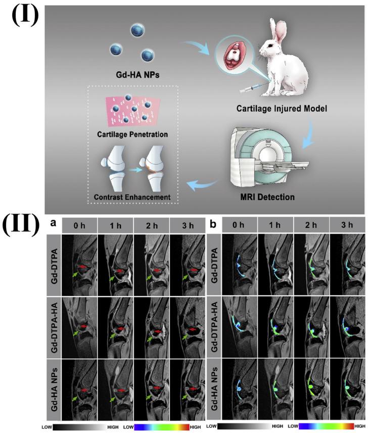 https://cdn.ncbi.nlm.nih.gov/pmc/blobs/49eb/11093717/4637c278484b/ntnov08p0401g001.jpg