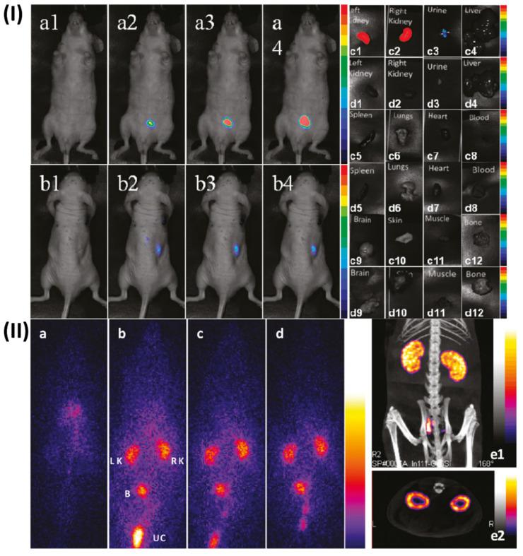 https://cdn.ncbi.nlm.nih.gov/pmc/blobs/49eb/11093717/65970351989b/ntnov08p0401g006.jpg