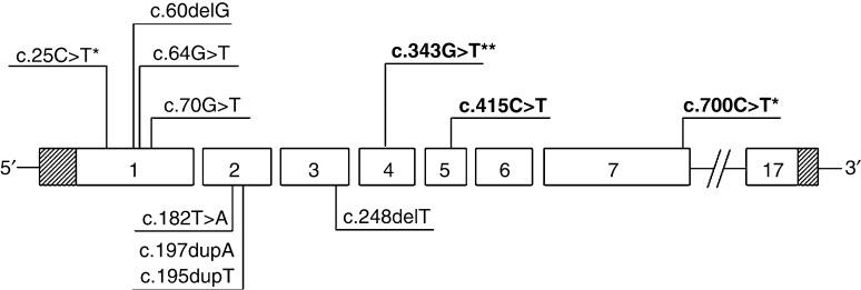 https://cdn.ncbi.nlm.nih.gov/pmc/blobs/49ec/3847926/fda27a39681e/ec-02-186-g001.jpg
