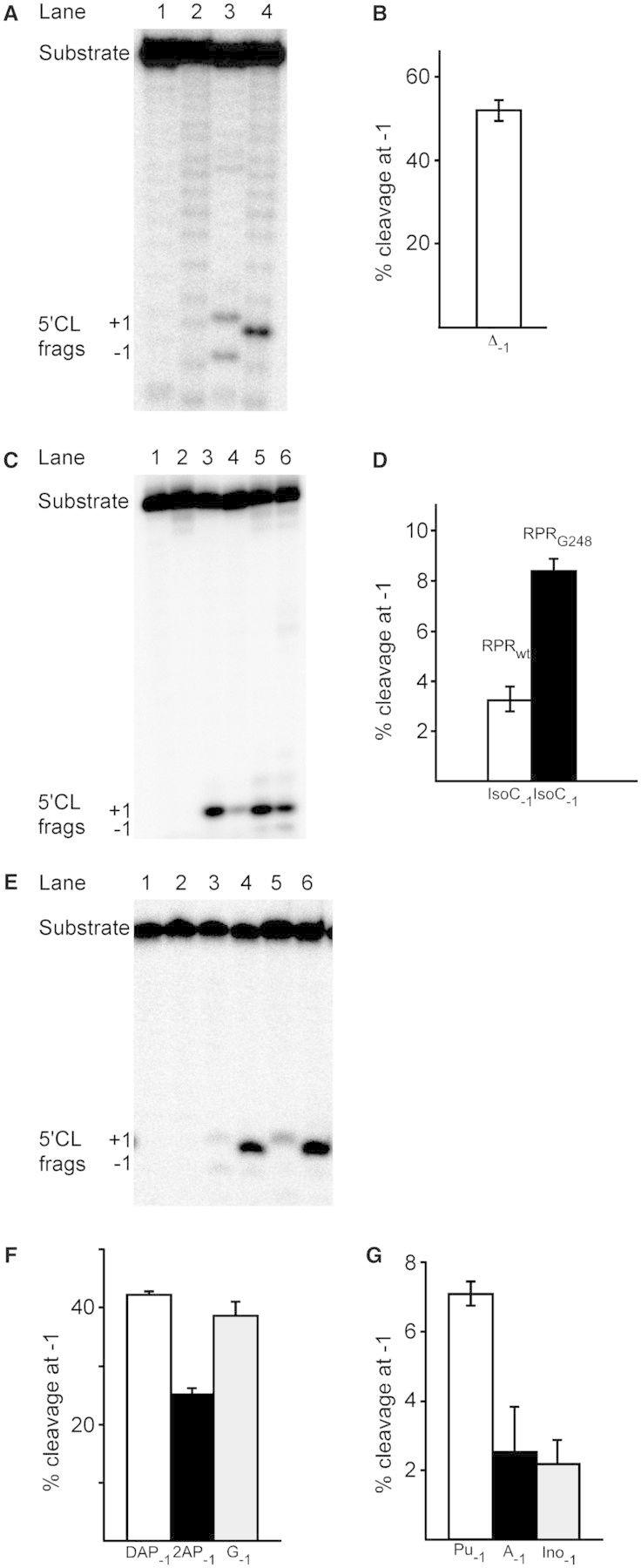 https://cdn.ncbi.nlm.nih.gov/pmc/blobs/49ec/3874170/5c6c624e41a9/gkt853f2p.jpg