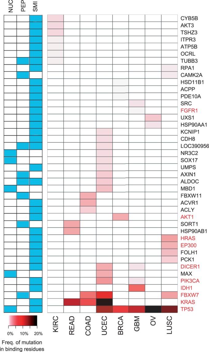 https://cdn.ncbi.nlm.nih.gov/pmc/blobs/49ed/3919581/577e0ca96394/gkt1305f4p.jpg