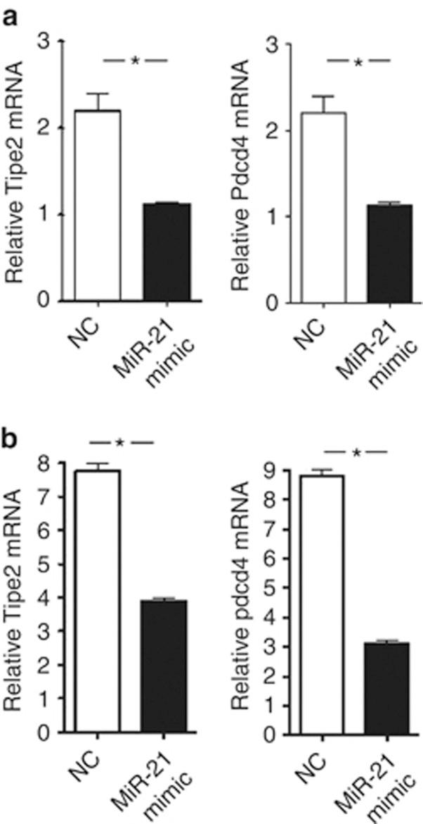 https://cdn.ncbi.nlm.nih.gov/pmc/blobs/49ed/3944261/5c566aa187c0/cddis201447f5.jpg