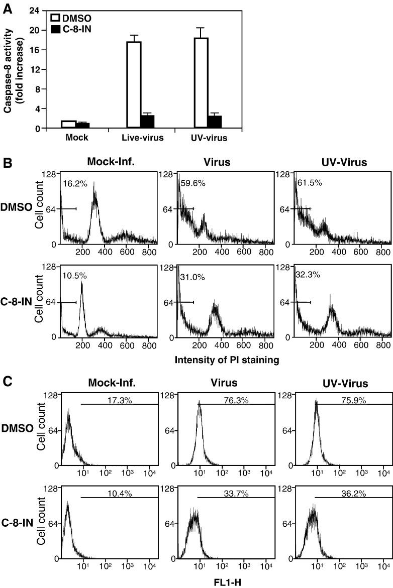 https://cdn.ncbi.nlm.nih.gov/pmc/blobs/49ee/7103337/309334b0b92c/gr5_lrg.jpg