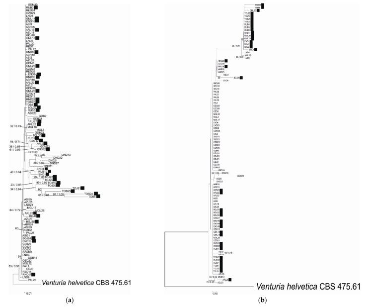 https://cdn.ncbi.nlm.nih.gov/pmc/blobs/49ef/8068995/d8fce458d4d7/pathogens-10-00447-g001a.jpg