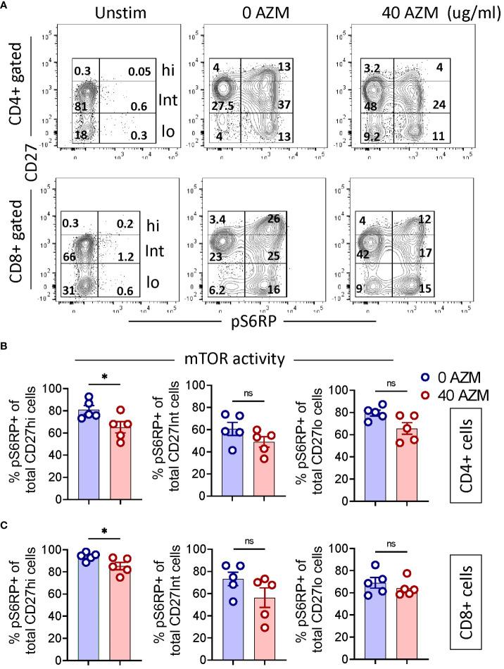 https://cdn.ncbi.nlm.nih.gov/pmc/blobs/49f2/11357905/4bf0536176ed/fimmu-15-1447625-g005.jpg
