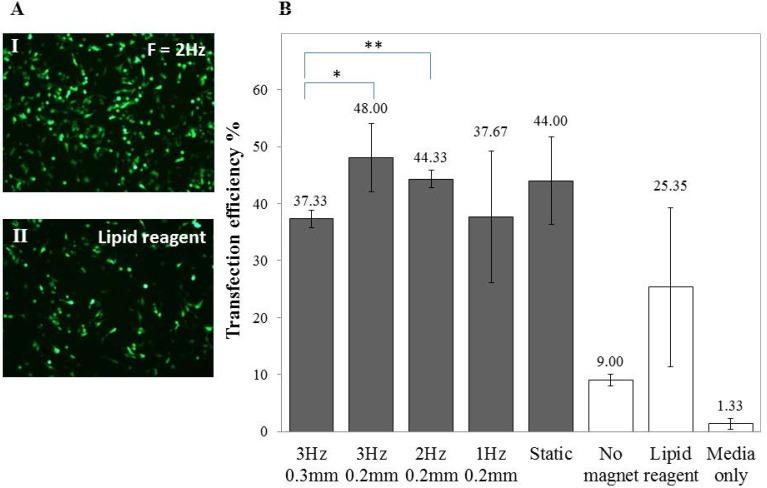 https://cdn.ncbi.nlm.nih.gov/pmc/blobs/49f2/5333013/065de5b95352/nanomaterials-07-00028-g003.jpg
