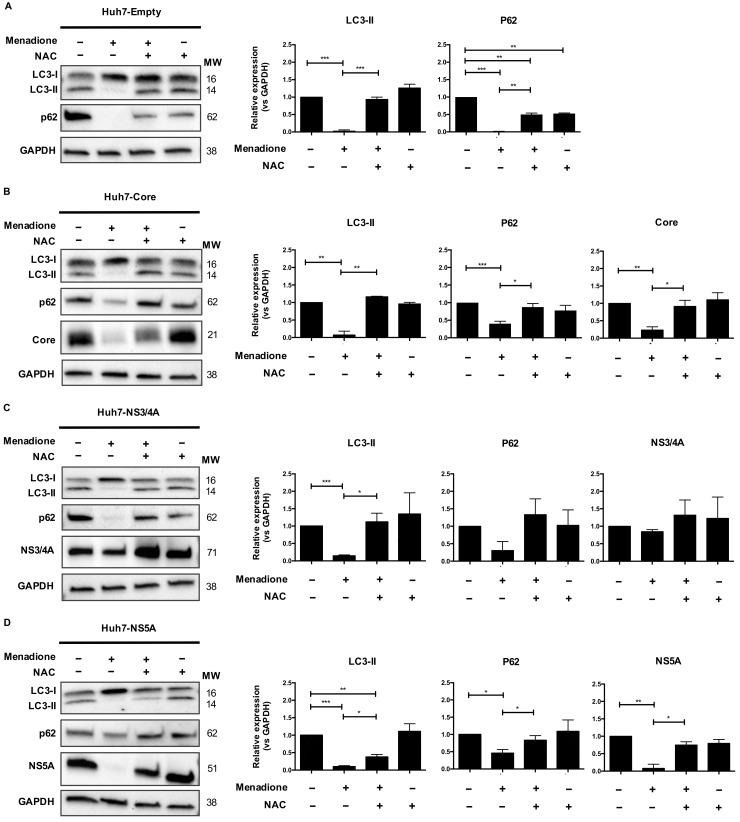 https://cdn.ncbi.nlm.nih.gov/pmc/blobs/49f4/7232227/4786654f647a/viruses-12-00425-g005.jpg