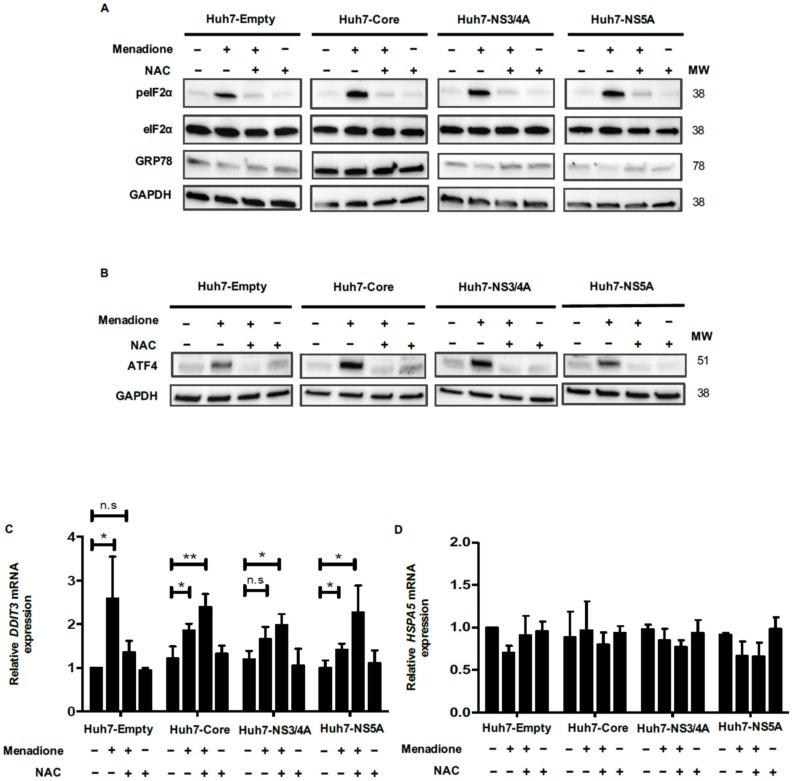https://cdn.ncbi.nlm.nih.gov/pmc/blobs/49f4/7232227/4ee9b38dcd5e/viruses-12-00425-g003.jpg