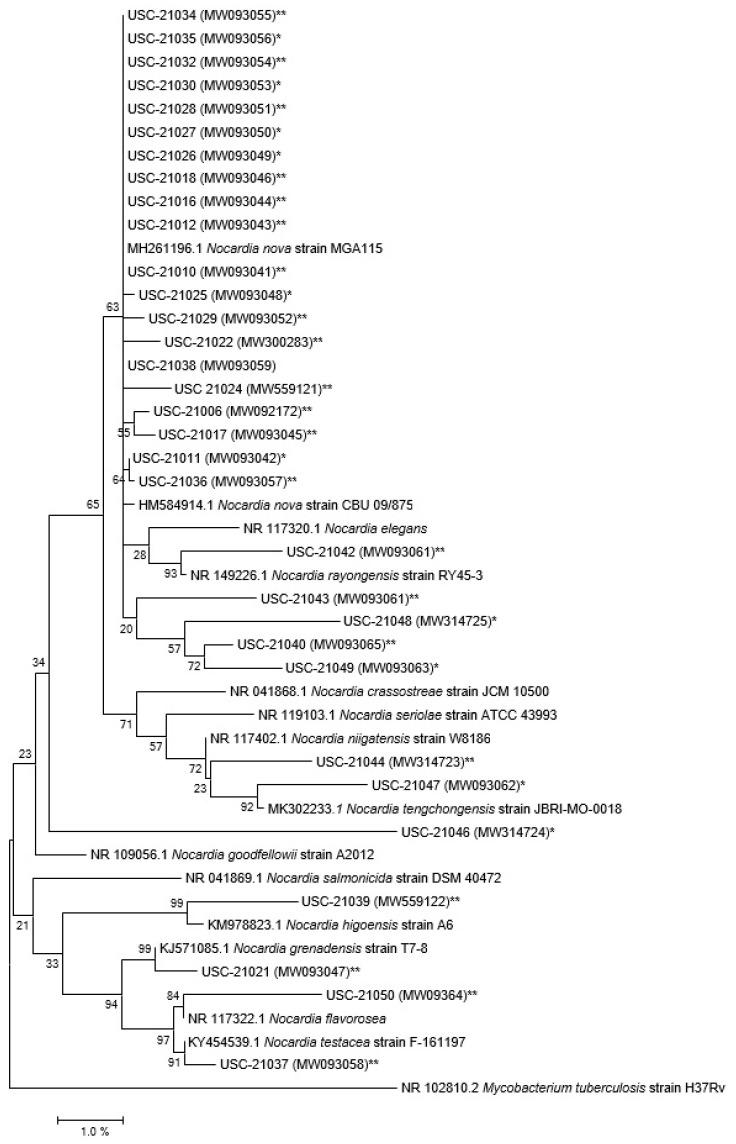 https://cdn.ncbi.nlm.nih.gov/pmc/blobs/49f4/8151412/b9d00921f18d/pathogens-10-00579-g002.jpg