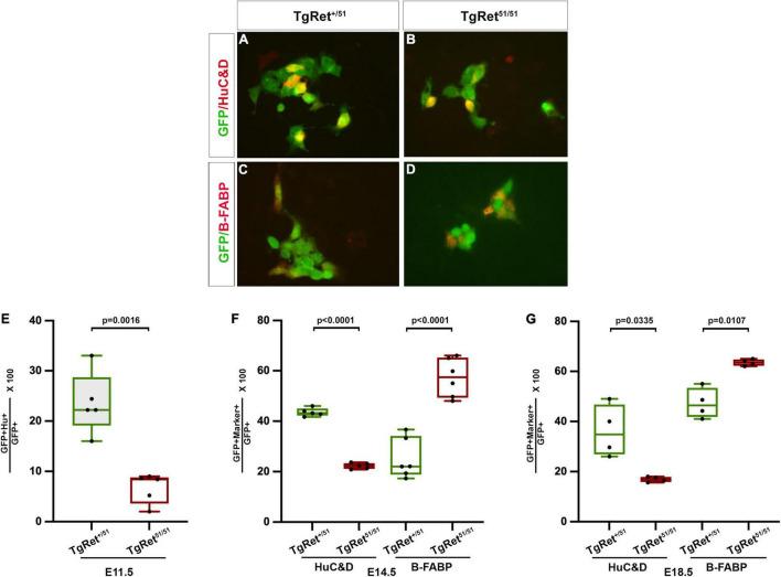 https://cdn.ncbi.nlm.nih.gov/pmc/blobs/49f4/9186293/a680821416a4/fnmol-15-832317-g003.jpg