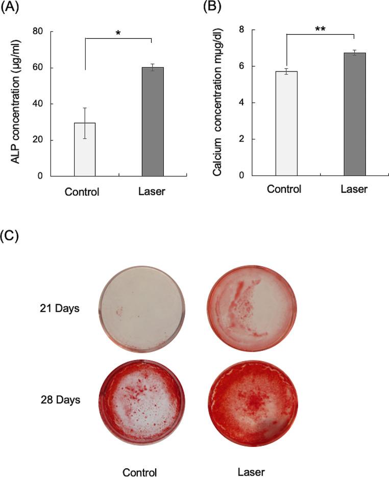 https://cdn.ncbi.nlm.nih.gov/pmc/blobs/49f6/11226468/449040202d89/10103_2024_4127_Fig2_HTML.jpg