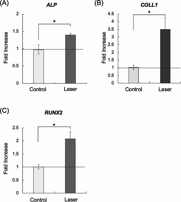 https://cdn.ncbi.nlm.nih.gov/pmc/blobs/49f6/11226468/93ae36782aad/10103_2024_4127_Fig1_HTML.jpg
