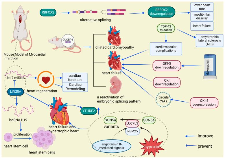https://cdn.ncbi.nlm.nih.gov/pmc/blobs/49f8/11430443/61bf990a51f6/biomolecules-14-01056-g008.jpg