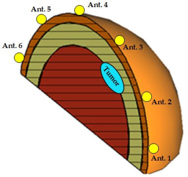 https://cdn.ncbi.nlm.nih.gov/pmc/blobs/49fa/12349357/d408882759c7/sensors-25-04670-g019.jpg