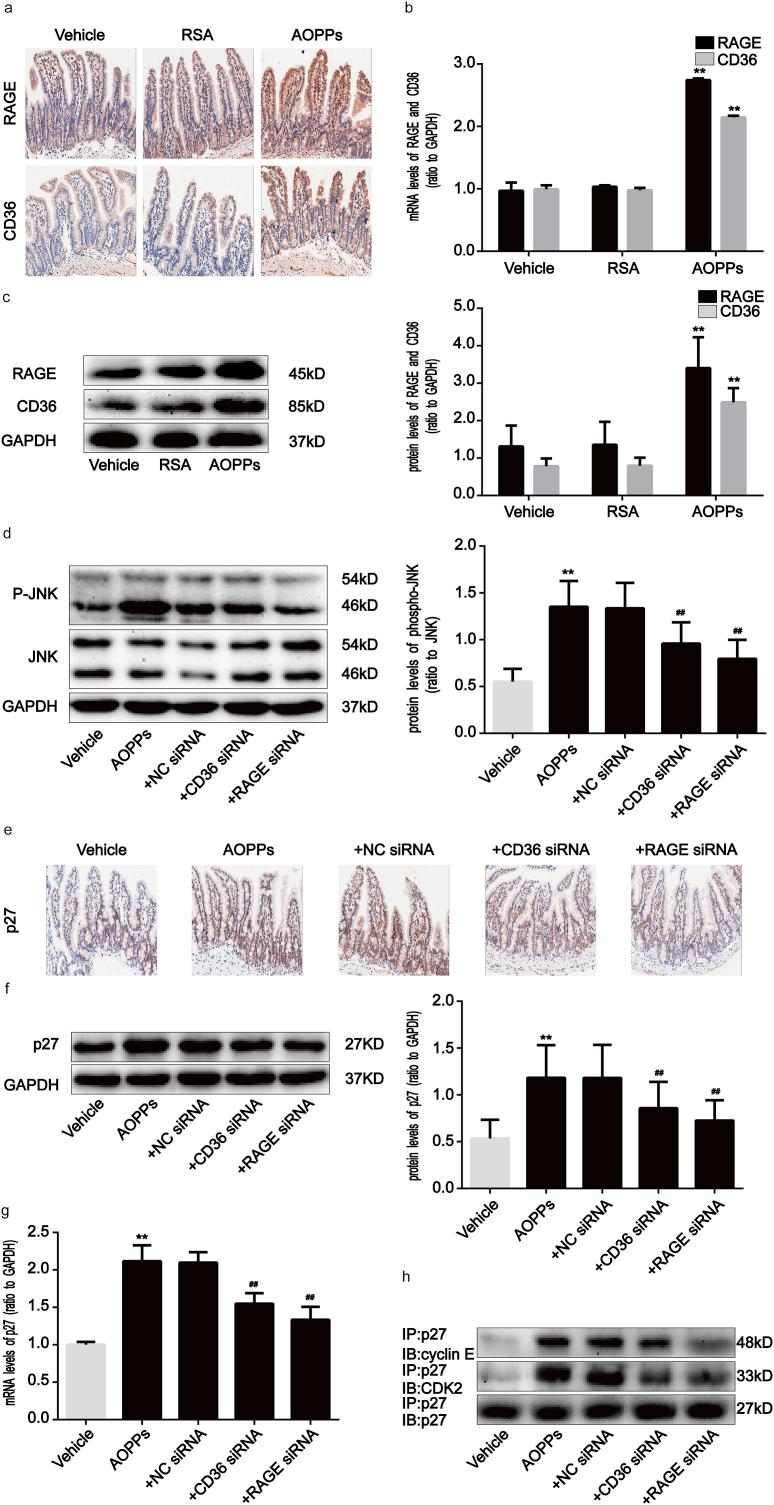 https://cdn.ncbi.nlm.nih.gov/pmc/blobs/49fb/6859530/d5ea3f034fa5/gr9.jpg