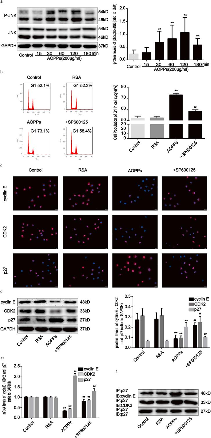 https://cdn.ncbi.nlm.nih.gov/pmc/blobs/49fb/6859530/f096aae4d594/gr5.jpg