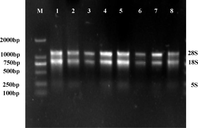 https://cdn.ncbi.nlm.nih.gov/pmc/blobs/49fe/12021200/44f963b0872a/pone.0321276.g004.jpg