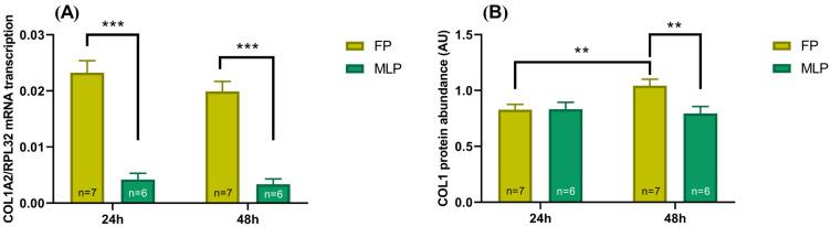 https://cdn.ncbi.nlm.nih.gov/pmc/blobs/49ff/9959736/63ea731a4a7a/ijms-24-03593-g001.jpg