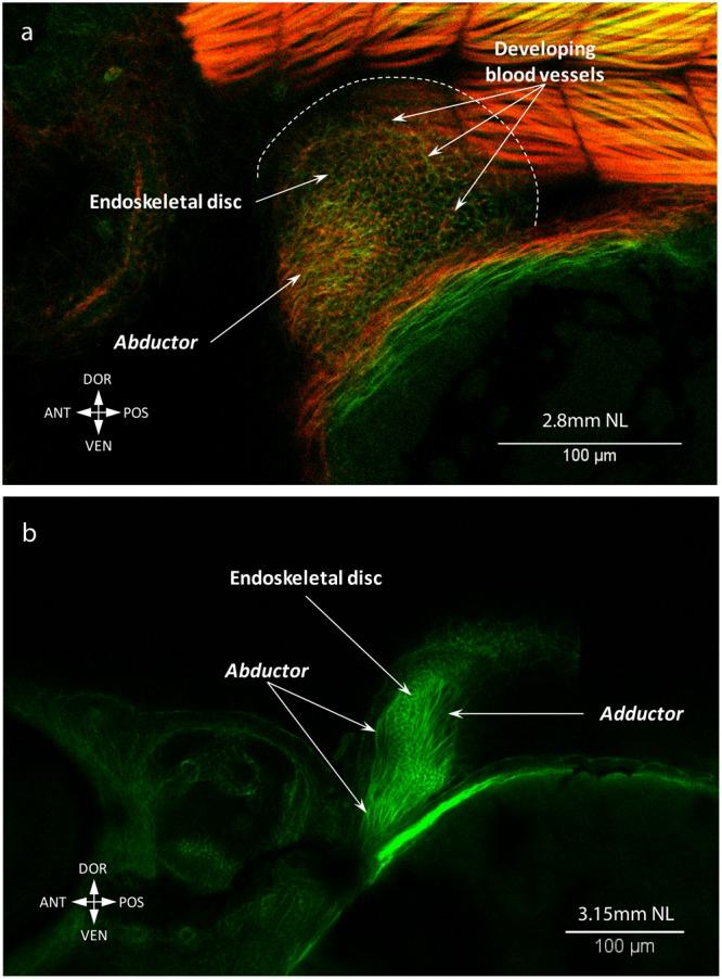 https://cdn.ncbi.nlm.nih.gov/pmc/blobs/4a00/6155031/3fba3b7c2e88/41598_2018_32567_Fig6_HTML.jpg