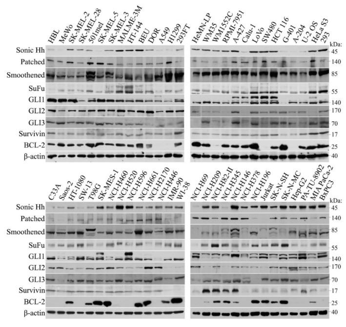 https://cdn.ncbi.nlm.nih.gov/pmc/blobs/4a00/6163708/7ad47ab49a1a/ijms-19-02682-g001.jpg