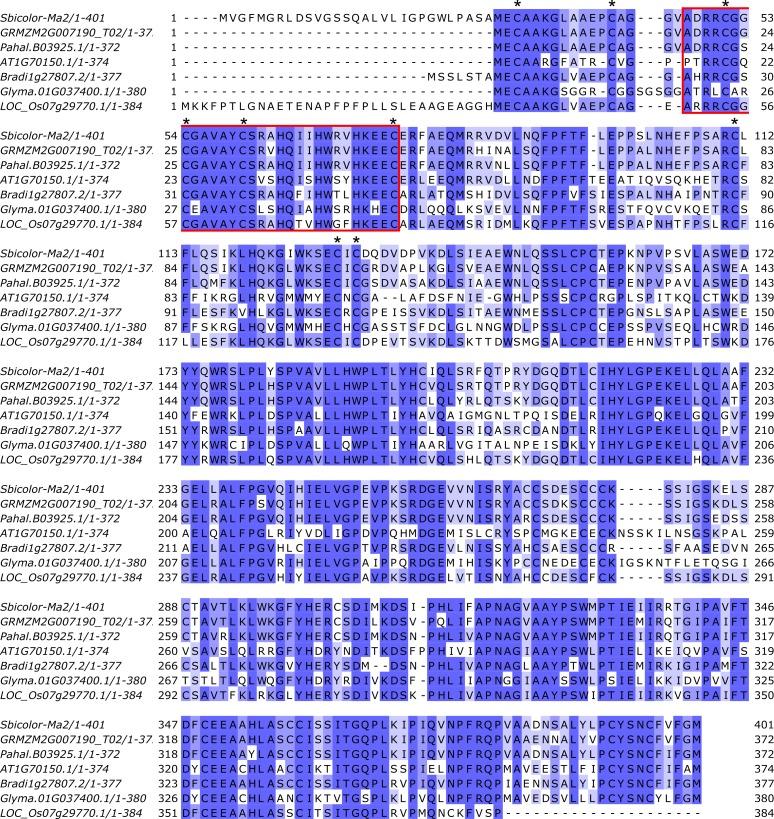 https://cdn.ncbi.nlm.nih.gov/pmc/blobs/4a00/6457528/0e5b3e406fde/pone.0212154.g006.jpg