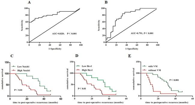 https://cdn.ncbi.nlm.nih.gov/pmc/blobs/4a01/5356819/79227b5af6f3/oncotarget-08-2501-g003.jpg