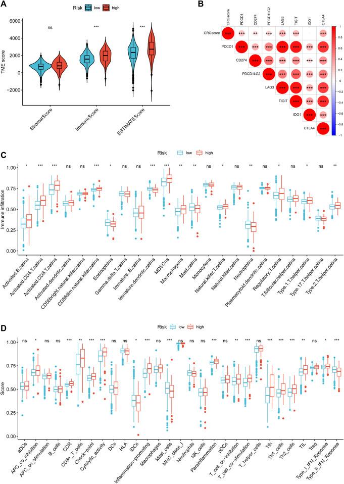 https://cdn.ncbi.nlm.nih.gov/pmc/blobs/4a02/9515514/57e5b8f10351/fmolb-09-974722-g011.jpg